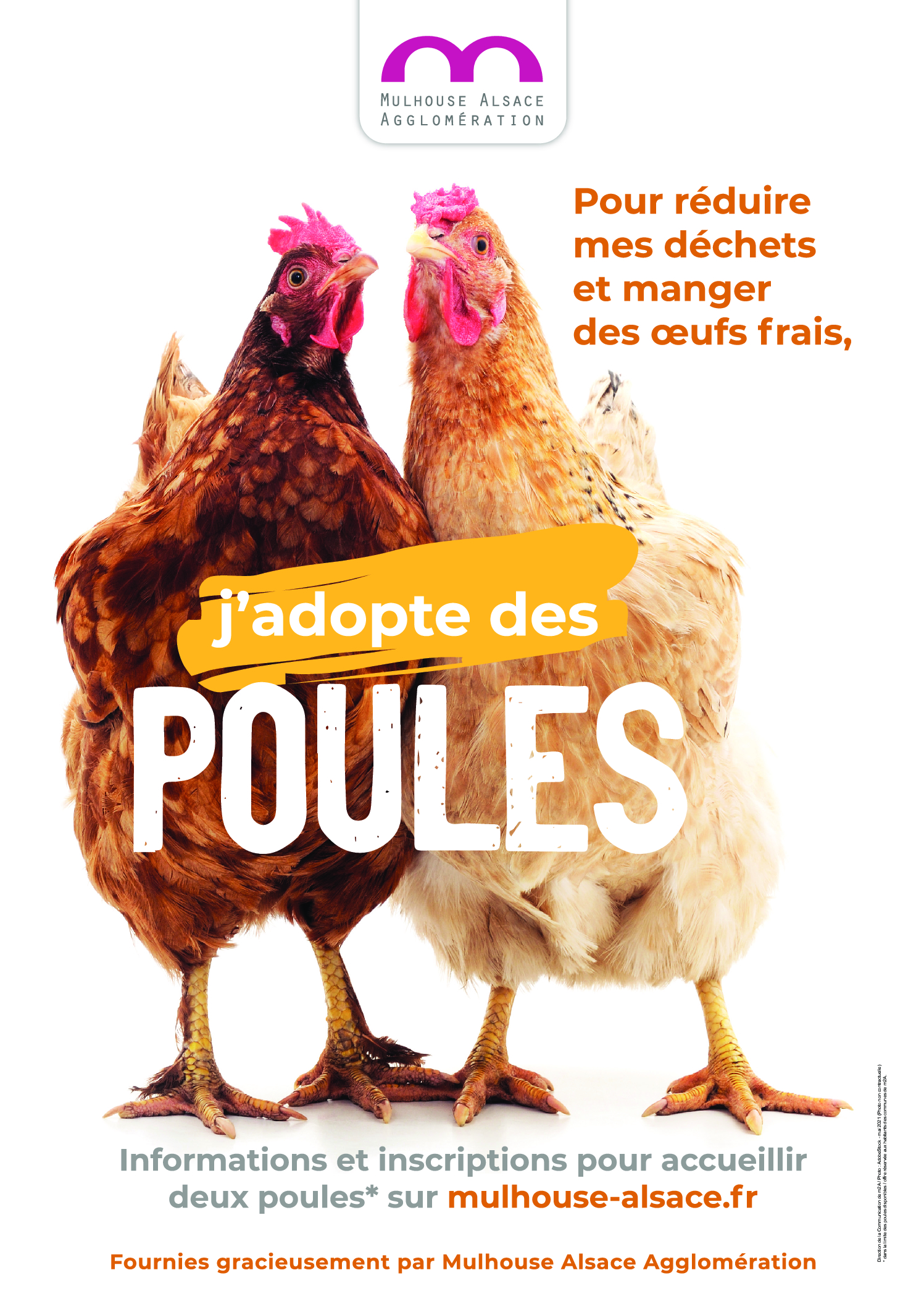 JADOPTEUNEPOULE